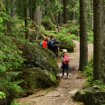 Bürgerentscheid: Bayerisch Eisenstein bleibt doch im Tourismusverband