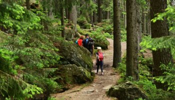 Bürgerentscheid: Bayerisch Eisenstein bleibt doch im Tourismusverband