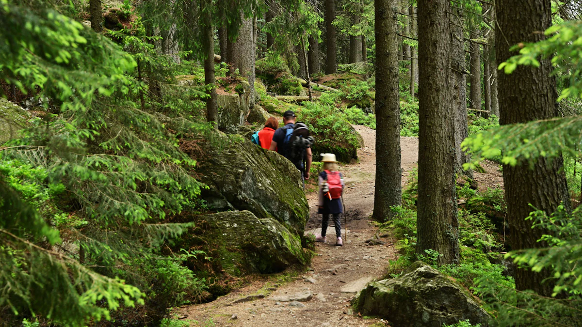 Bürgerentscheid: Bayerisch Eisenstein bleibt doch im Tourismusverband