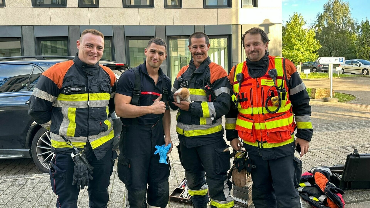 CGDIS au grand cœur: Un sauvetage tout en douceur pour les pompiers ce jeudi