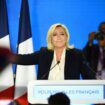 "Ça ne peut pas tenir": Marine Le Pen appelle à de nouvelles législatives en 2025