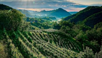 Carnet de voyage sur la route du prosecco : des paysages uniques au monde