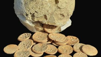 Coins found by metal detectorist could sell for £20,000