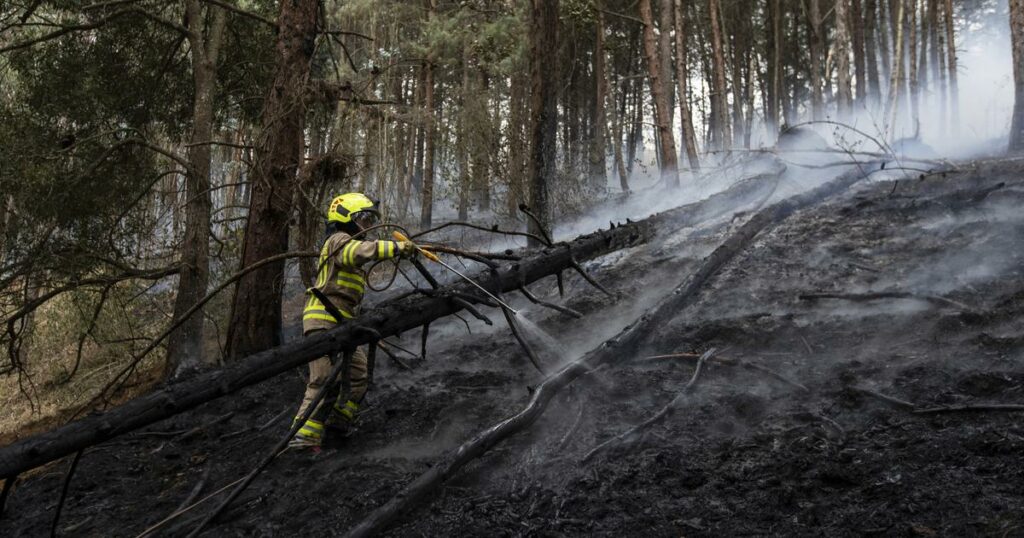 Colombie : plus de 9000 hectares brûlés par les feux de forêt