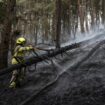 Colombie : plus de 9000 hectares brûlés par les feux de forêt