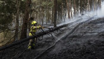 Colombie : plus de 9000 hectares brûlés par les feux de forêt