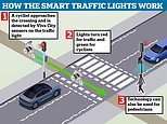 Coming to a road near you? Council tests AI traffic lights that prioritise cyclists over cars