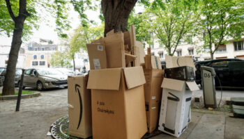 Comment le carton a envahi nos vies : « On doit forcer avec les mains pour que tout rentre dans le container »