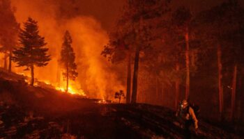 Dans la région de Los Angeles, les autorités s’activent contre le Bridge Fire : « Ce feu-là est vraiment mauvais »