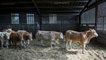 Dans le monde agricole, après la colère, le désarroi gagne, les attentes sont immenses