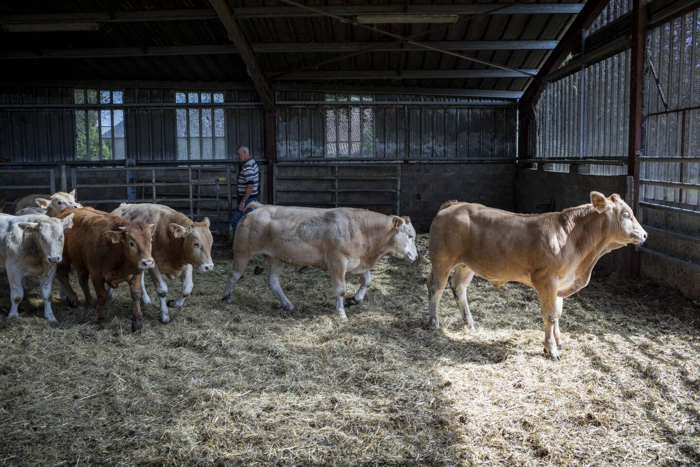 Dans le monde agricole, après la colère, le désarroi gagne, les attentes sont immenses