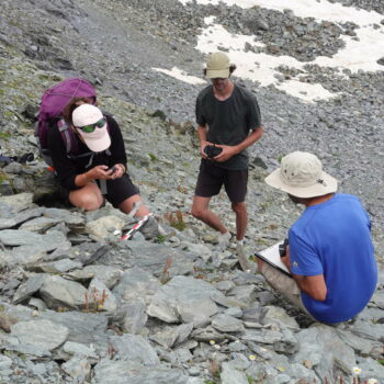 Dans les Alpes, les archéologues à la recherche des vestiges libérés par la fonte des glaces