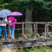 Dauerregen und Schnee: Wie man den Wetterbericht richtig liest