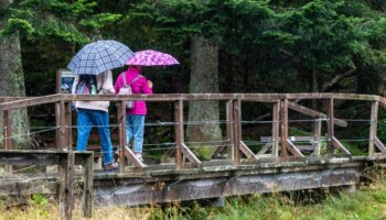 Dauerregen und Schnee: Wie man den Wetterbericht richtig liest