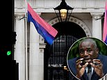 David Lammy is accused of wasting taxpayers money on 'woke virtue-signalling' - after bisexual pride flag is hung outside Foreign Office