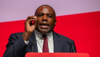 David Lammy says Gaza is 'vision of hell on earth' in plea for 'horrific war' to end