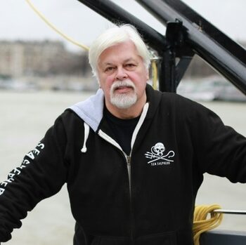 De sa prison au Groenland: Le défenseur des baleines Paul Watson continue le combat