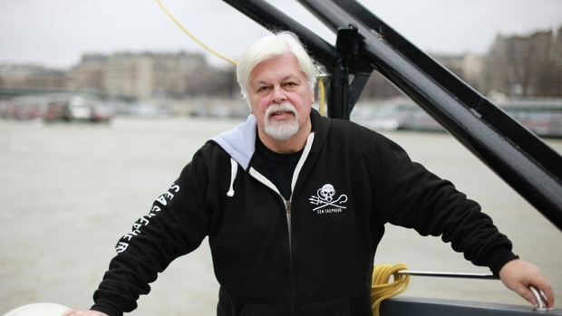 De sa prison au Groenland: Le défenseur des baleines Paul Watson continue le combat