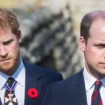 Do you think Harry and William will ever heal their rift? Vote in our poll