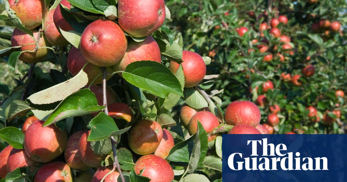 Dozens of children and adults injured in Wisconsin apple-orchard wagon accident