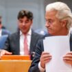 Dutch government eyes emergency laws to curb migration