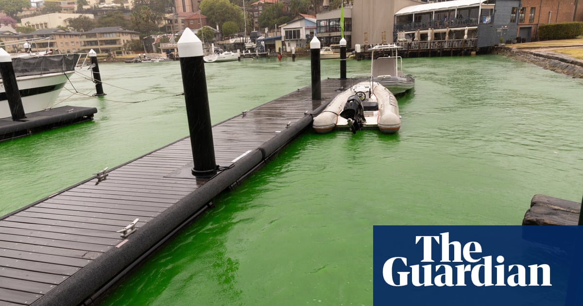 Dye leak turns water bright green in Sydney harbour at Kirribilli