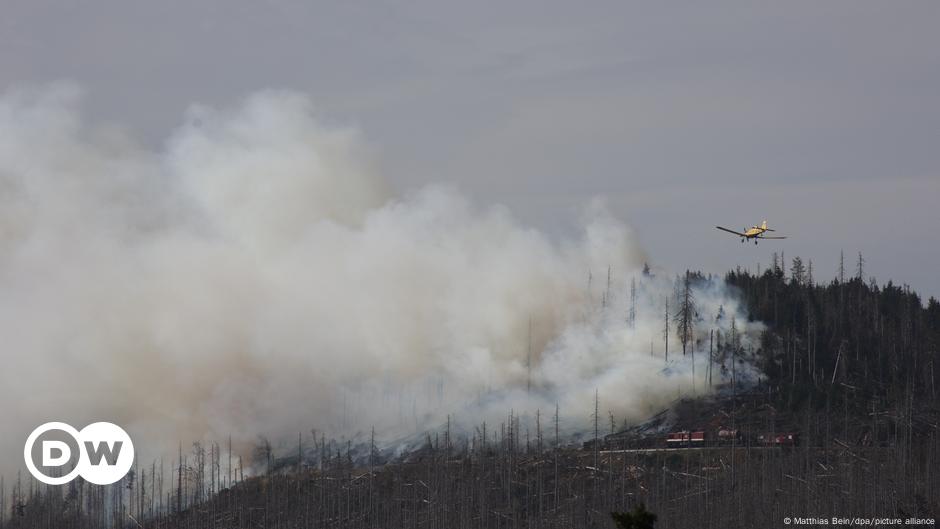 Feuerfront wütet am Brocken im Nationalpark Harz