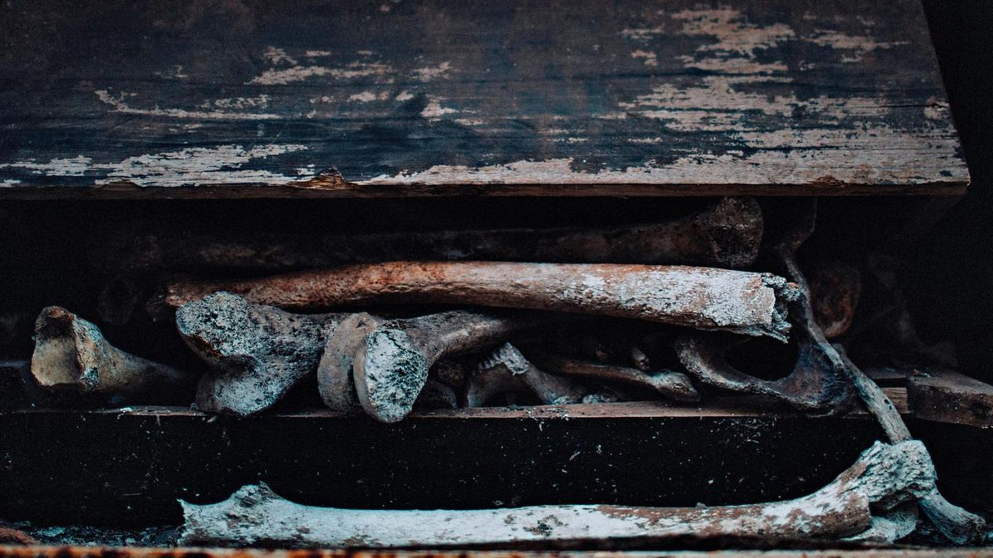 Fotodokumentation: Auf diesem Friedhof herrscht keine Ruhe. Vor allem nicht nachts