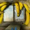 German supermarket finds €7M of cocaine in crates of bananas