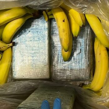 German supermarket finds €7M of cocaine in crates of bananas