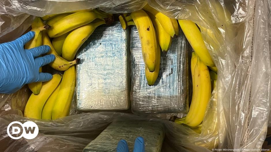 German supermarket finds €7M of cocaine in crates of bananas