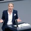 Germany: AfD leaders pick Weidel for chancellor candidate