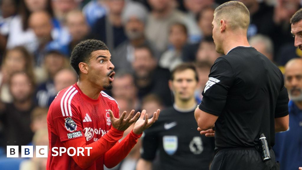 Morgan Gibbs-White protests after being sent off against Brighton