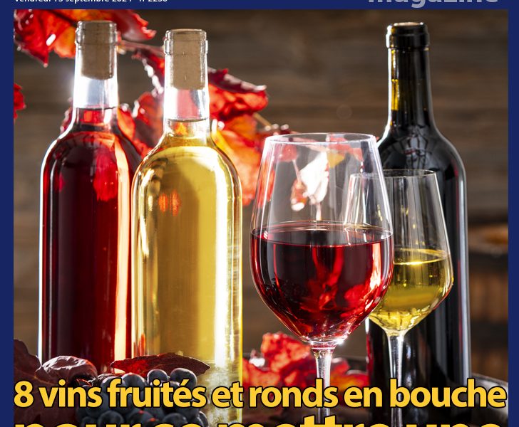 Gorafi Magazine : 8 vins fruités et ronds en bouche pour se mettre une grosse cuite