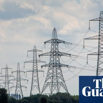 Government rules out underground cabling in National Grid upgrade