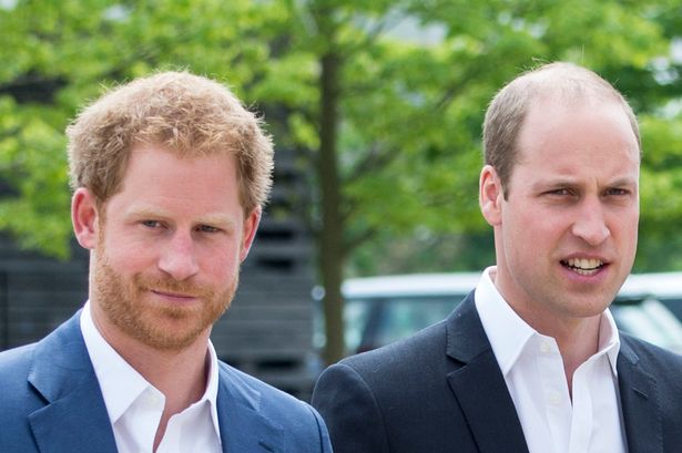 Harry thought he could 'step in' during Royal crisis but William 'drew a line in the sand'