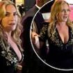 Hilarious moment Kate Winslet can't contain her giggles as she's heckled by a fan who showered her with compliments at London premiere of her new film Lee