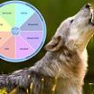 Howling mad! Fury as school allows pupil suffering from 'species dysphoria' to identify as a WOLF