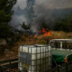 Incendies au Portugal : la quasi-totalité des feux maîtrisés, 100 000 hectares de végétations ravagés