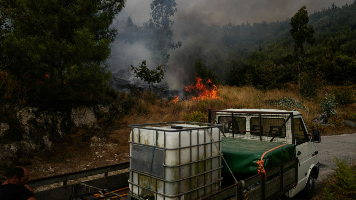 Incendies au Portugal : la quasi-totalité des feux maîtrisés, 100 000 hectares de végétations ravagés