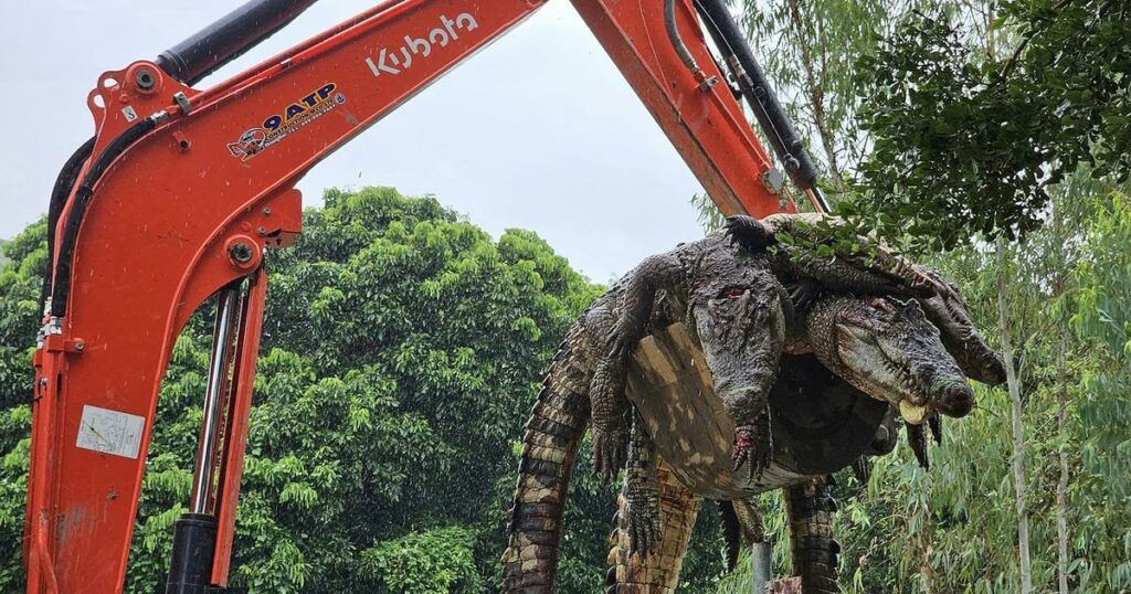 Inondations en Thaïlande : 125 crocodiles abattus pour éviter leur évasion