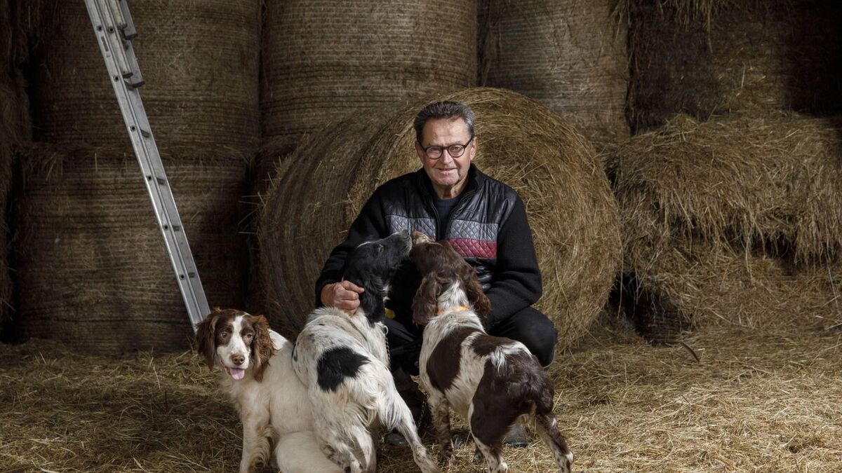 « L’Amour est dans le pré » : « J’ai le sang qui bout mais j’ai pas le bout qui sent »