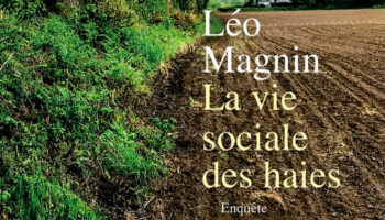 « La Vie sociale des haies » : quand arbres et arbustes se mettent au service de l’« écologisation des mœurs »