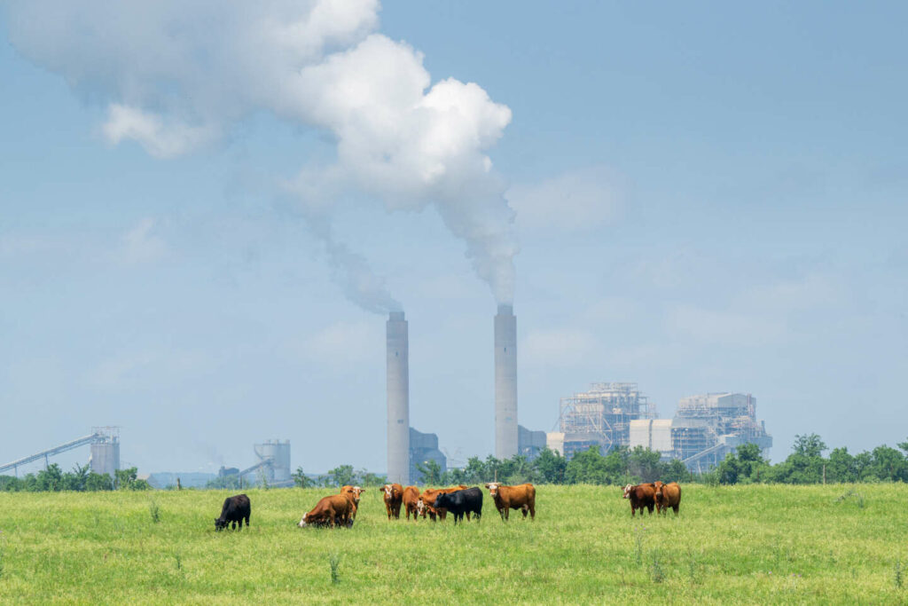 « La bonne nouvelle, c’est qu’il est possible d’agir sur les émissions de méthane d’origine humaine »