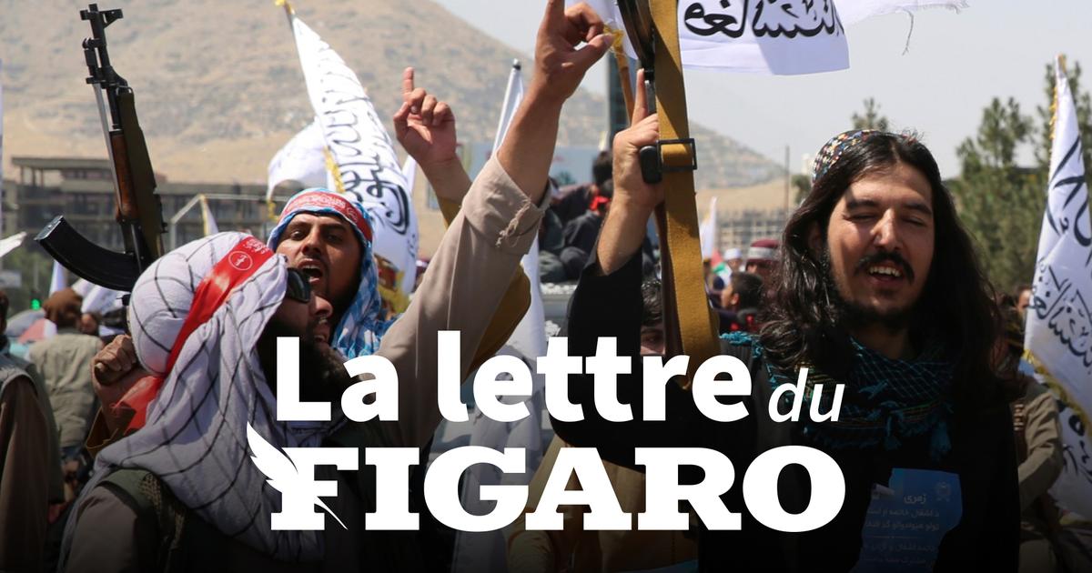 La lettre du Figaro du 10 septembre 2024