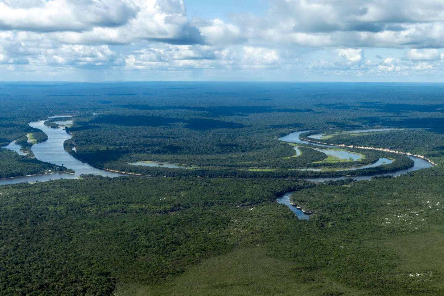 La pollution à l’ozone freine la capacité des forêts tropicales à absorber le CO₂, selon une étude