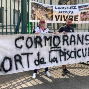 « Laissez-nous vivre ! » : au procès de l’empoisonnement d’un oiseau rare, deux mondes irréconciliables