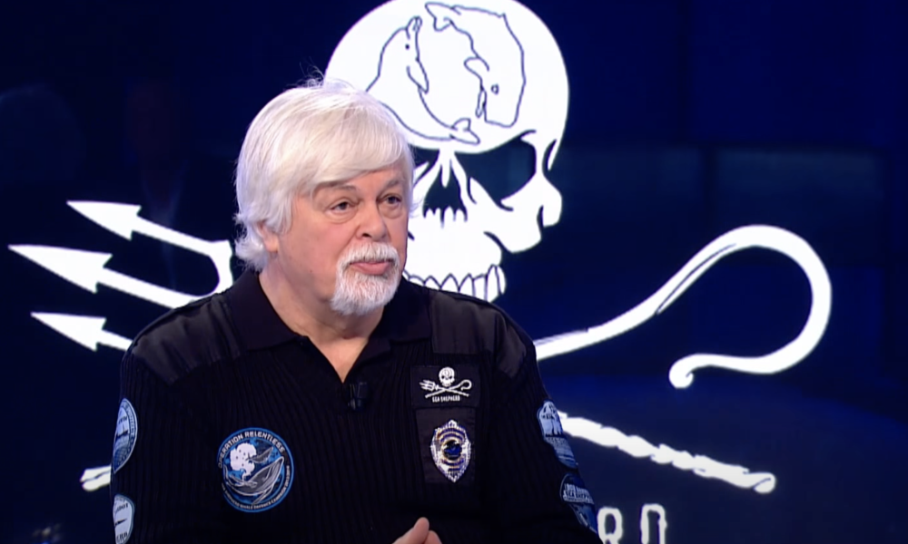 Le Japon affirme que la chasse au Paul Watson est uniquement dans un but scientifique