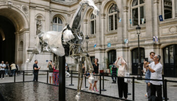 Le cheval mécanique des JO sera exposé au château de Versailles