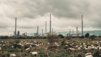 Le documentaire « Toxicily » propose, en Sicile, une promenade fiévreuse en terrain pollué par l’industrie pétrochimique